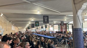 70deb735-bae1-4cd5-8ec7-058b1c99e372