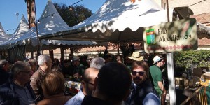 73148420_1155370858006472_4320475342994145280_n